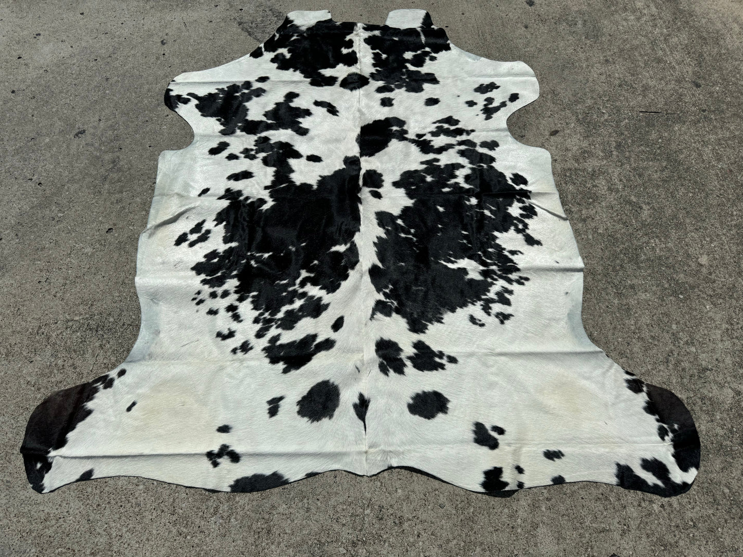 Black & White Cowhide