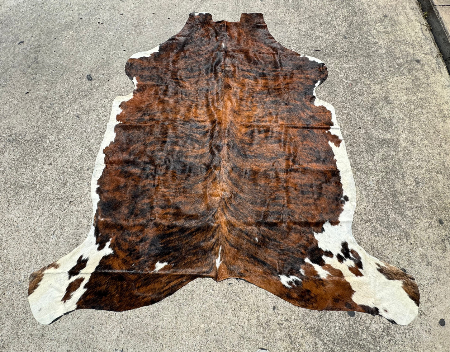 Brindle Whitebelly Cowhide