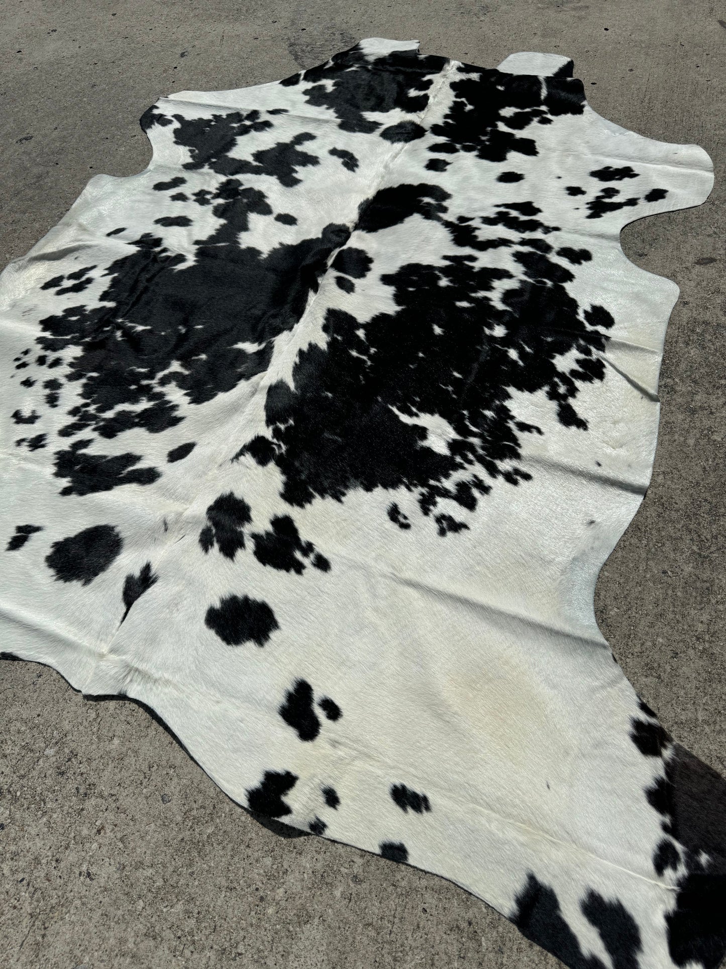 Black & White Cowhide