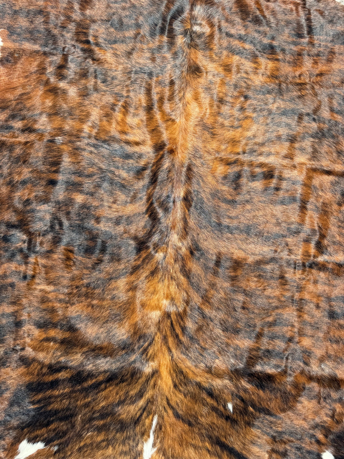 Brindle Whitebelly Cowhide