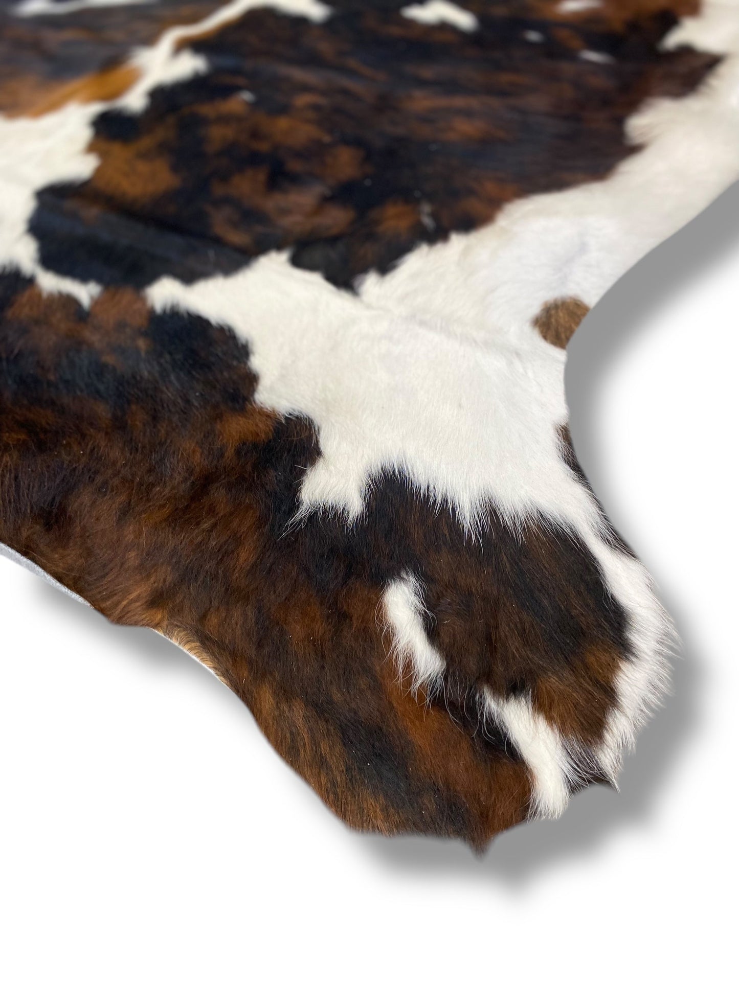 Cowhide Brindle White Belly 3-5 (X02)