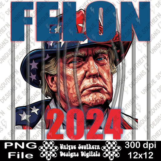 Felon 2024 | politics | republican | 2024 Vote