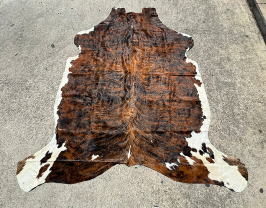 Brindle Whitebelly Cowhide